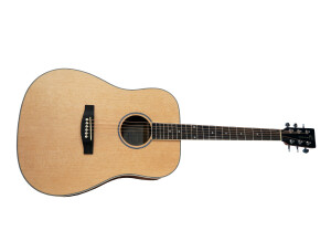 Eastone DR100