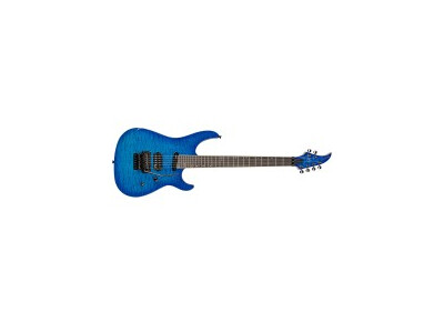 Caparison HRG-QD