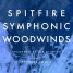 Spitfire remplace les BML Woodwinds