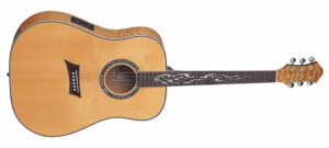 Michael Kelly Guitars Stage Phoenix