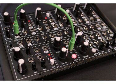 Plankton Electronics Ants!