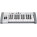 Voir la photo du Swissonic EasyKey 25 Swissonic EasyKey 25