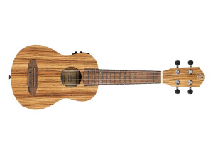 Ortega Timber RFU10ZE