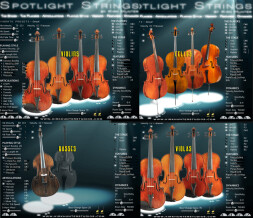 Kirk Hunter Studios Spotlight Solo Strings