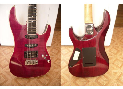 Valley Arts Guitars samick