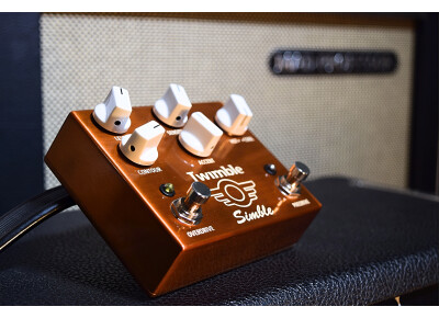 Mad Professor Twimble