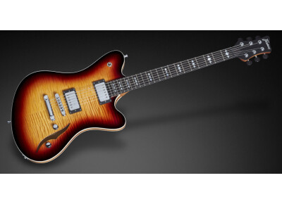 Framus Masterbuilt Television Humbucker