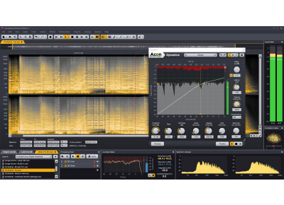 Acon Digital Media Acoustica 7 Standard