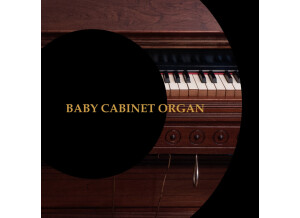 Precision Sound Baby Cabinet Organ