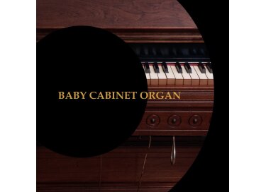 Precision Sound Baby Cabinet Organ
