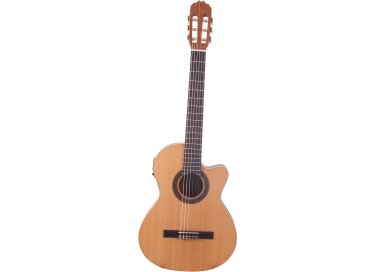 Jm Forest Student CT EQ