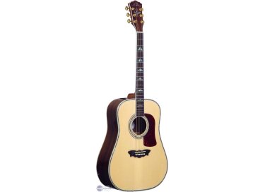 Washburn WD56SW