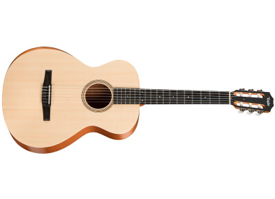 Taylor A12e-N