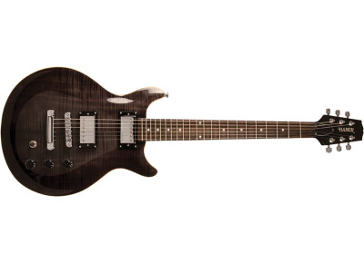 Hamer Sunburst Archtop SATF