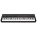 See the photo of the Korg GrandStage 88 Korg GrandStage 88