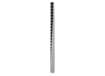 Renkus-Heinz IC24-RN