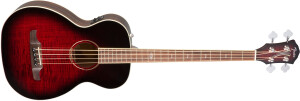 Fender T-Bucket 300CE Bass
