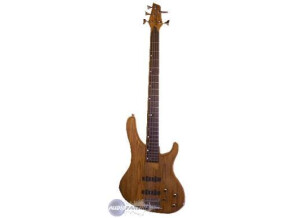 Washburn XB500