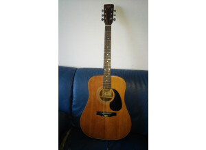 Hondo H210A