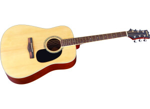 Mitchell Guitars D120