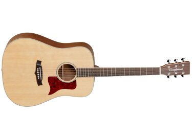 Tanglewood X15