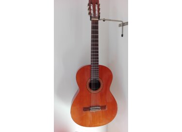 Contreras Guitara de Estudio