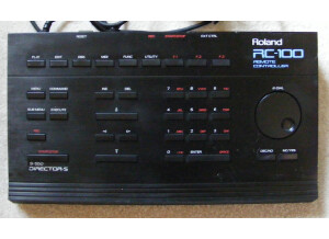 Roland RC-100