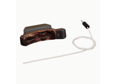 L.R. Baggs Session VTC