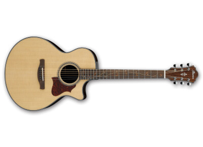 Ibanez AE305