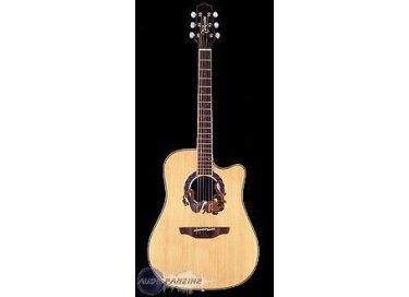 Takamine LTD2004