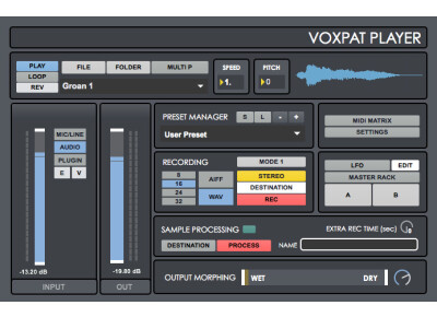 Digital Brain Instruments Voxpat Player