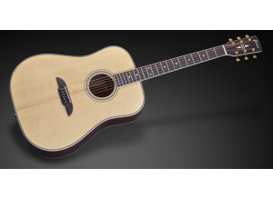 Framus Legacy FD 28 N SR E