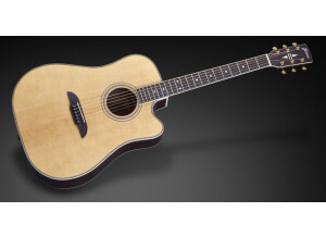 Framus Legacy FD 28 N SR CE