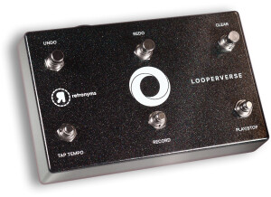 The Retronyms Looperverse Pedal