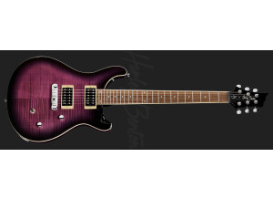 Harley Benton CST-24