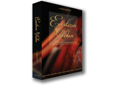 Zero-G Eastern Violin