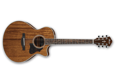 Ibanez AE245