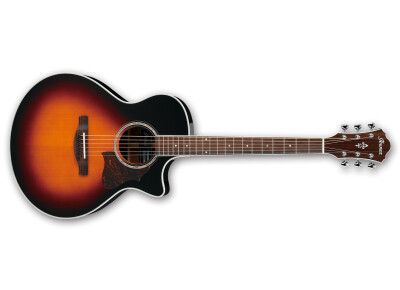 Ibanez AE800