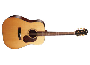 Cort Gold-D6