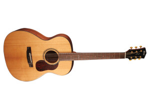 Cort Gold-O6