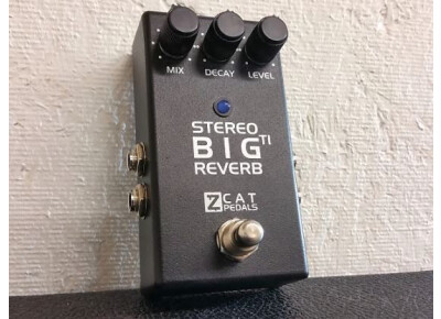 Z.Cat Stereo Big Reverb TI