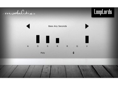 LoopLords Modalities