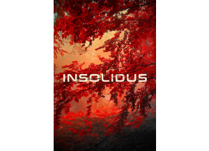 8dio Insolidus