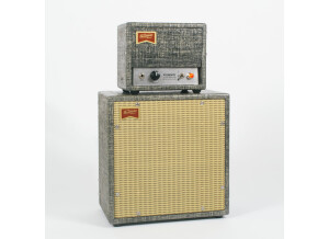 Benson Amps Vinny