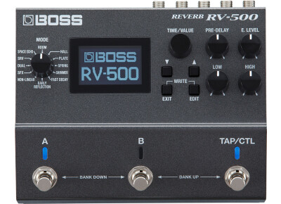 Boss RV-500