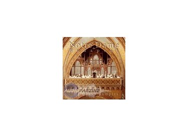 Best Service NOTRE DAME DE BUDAPEST