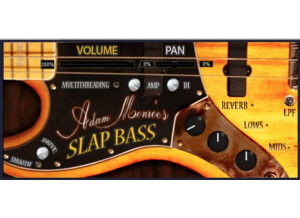 Adam Monroe Music Slap Bass 2