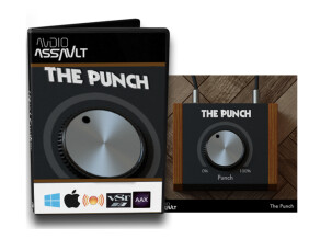 Audio Assault The Punch