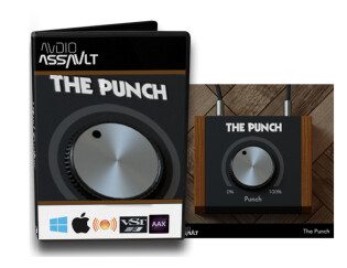 Audio Assault vous offre The Punch