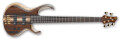 Les nouvelles basses BTB Premium d'Ibanez